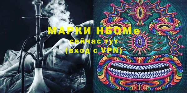 PSILOCYBIN Корсаков