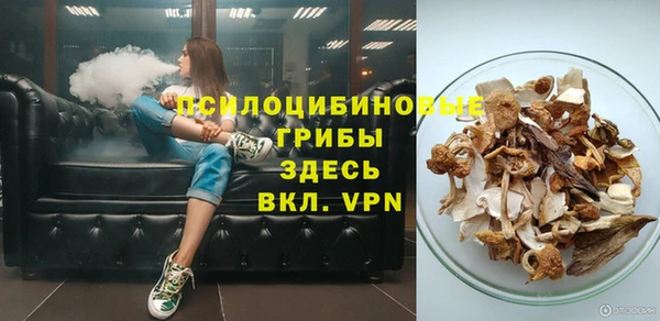 PSILOCYBIN Корсаков