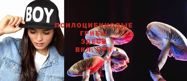 скорость Алзамай